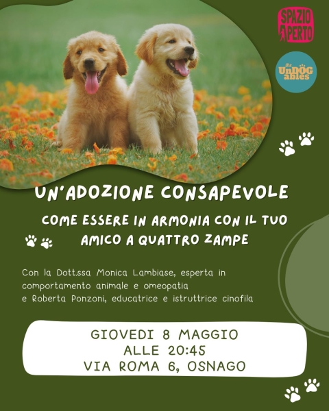 2025058 adozioni